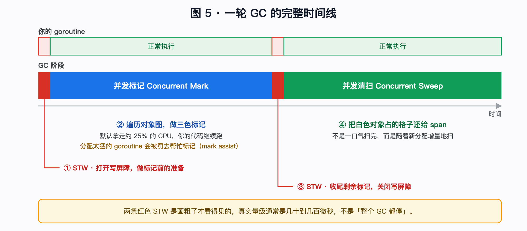 ![GC 阶段时间线](images/05-gc-phases.png)